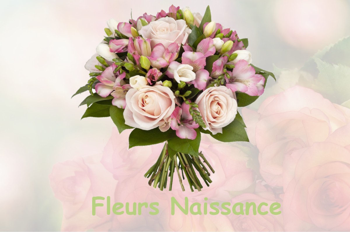 fleurs naissance NEUFVY-SUR-ARONDE
